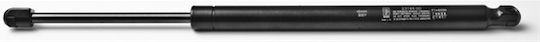 Fa Krosno Trunk Shock for Ford Focus 1998-2000