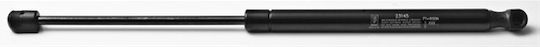 Fa Krosno Trunk Shock for Skoda Fabia I