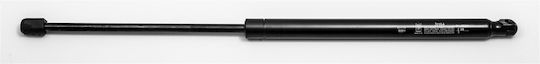 Fa Krosno Trunk Shock for Renault Modus 2004-2012 HB