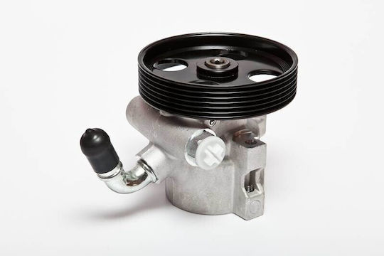 Power Steering System Pump Peugeot 306 1.9 D 4007w2 4007w2