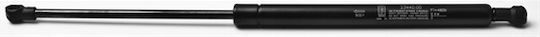 Fa Krosno Bonnet Shock Absorber for Alfa Romeo Alfa 166