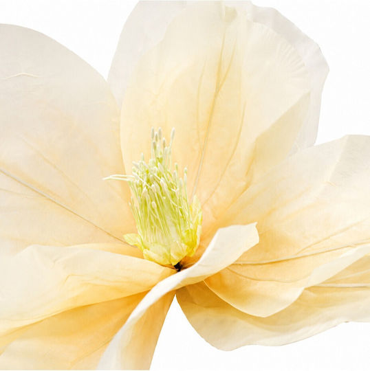 Floare Magnolia 50x40cm