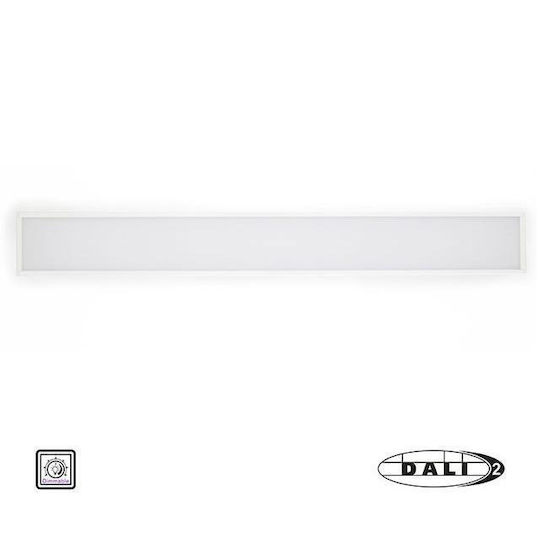 Adeleq LED Linear Wall Light 18W Warm White with Adjustable Intensity L60xH5.6cm