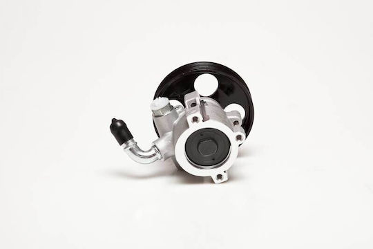 Power Steering Pump Xsara Peugeot 306 2.0 Hdi 4007x0