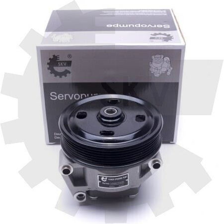 Power Steering Pump Ford Galaxy II Mondeo IV S-Max 1673862