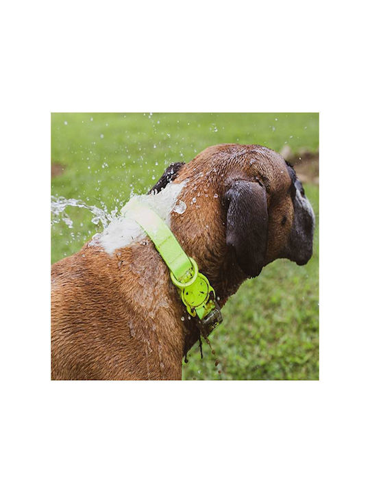 Zeedog Ошийник За Куче Neopro Лайм Medium 37-53см X 2см
