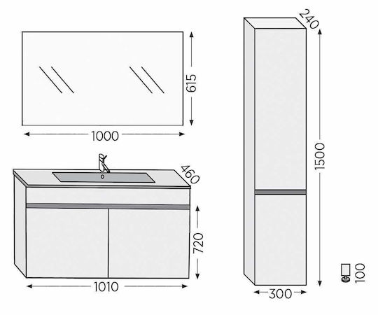 Furnibath Toledo 100 Πάγκος με Νιπτήρα & Καθρέπτη Μ101xΒ72xΥ46cm Grey