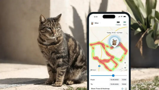 Tractive Cat Collar Brown