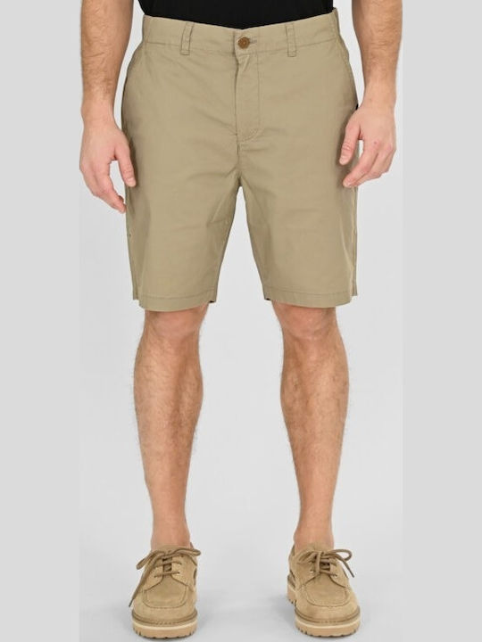 Men's Chino Shorts Lt Moss