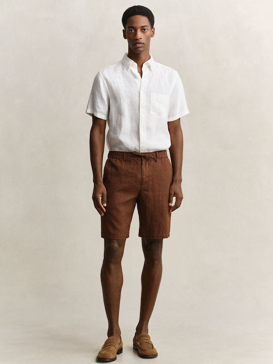 Men's Bermuda Brown