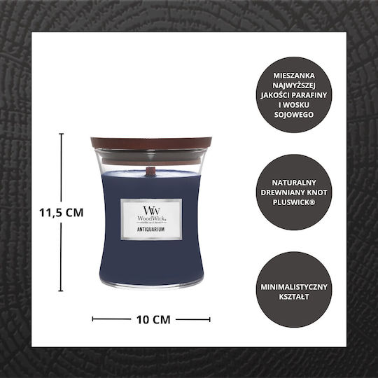 Medium Core 275g Antiquarium Scene Candle