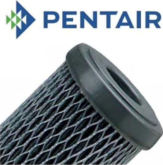 Pentair Replacement Water Filter Cartridge with Activated Carbon 10 μm