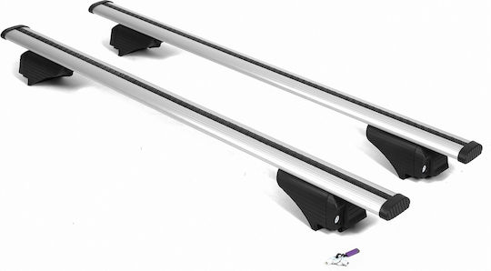 Luggage Rack Classic Rails Ford Tourneo Custom Van L1 From 2014 Wizzard