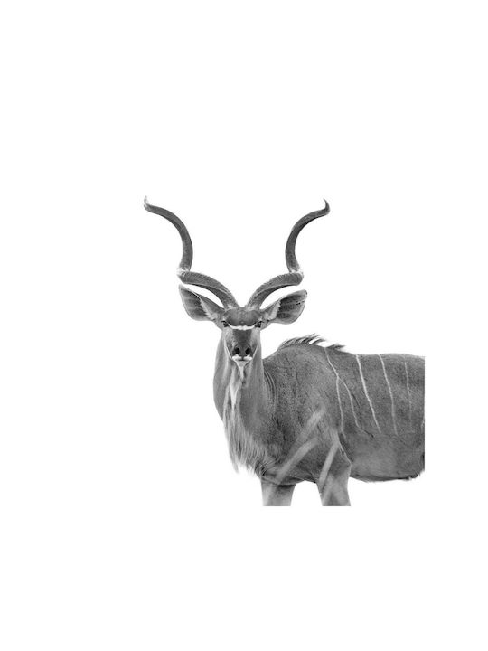Панел Majestic Kudu В Черно И Бяло Majestic Kudu Черно-Бял 110x110