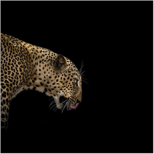 Painting Majestic Leopard In Profile Majestic Leopard In Profile 120x120