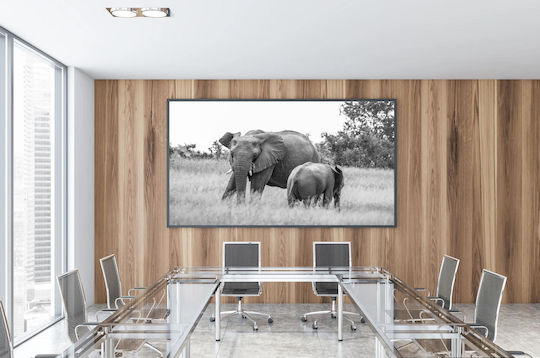 Painting Elephants In Black White 150x100
