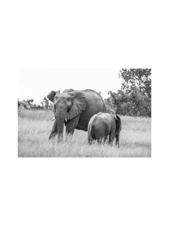 Painting Elephants In Black White 150x100
