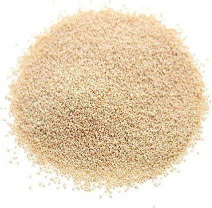 MIGOgroup Mohnblumen Saatgut Weiß 1kg