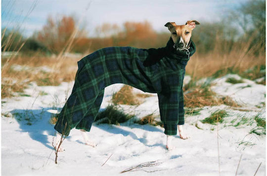 Панел Dog In Plaid Coat In Snow Куче Каре Палто В Сняг 110x110