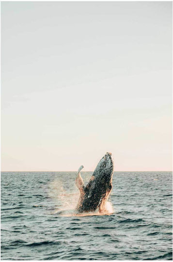 Painting Whale Breaching Surface 100x150