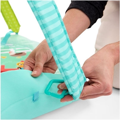 Baby Einstein Farm Explorers Activity Gym with Music for Newborns