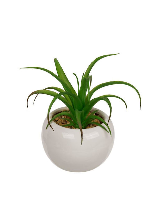 Artificial Plant in Small Pot Succulent Plant Blue 16cm 2pcs Next