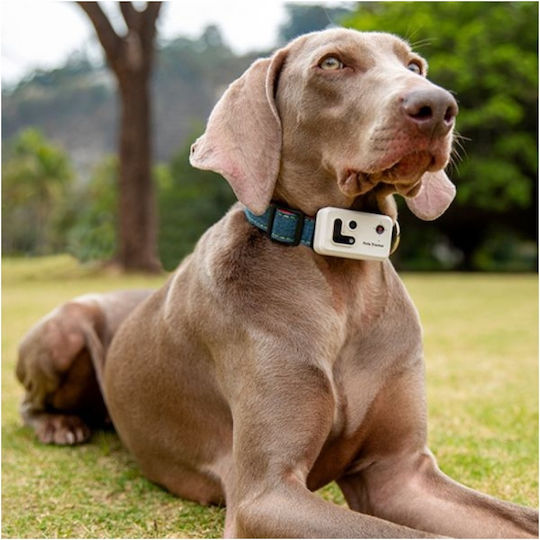 Enabot Electric GPS Collar for Dogs & Cats