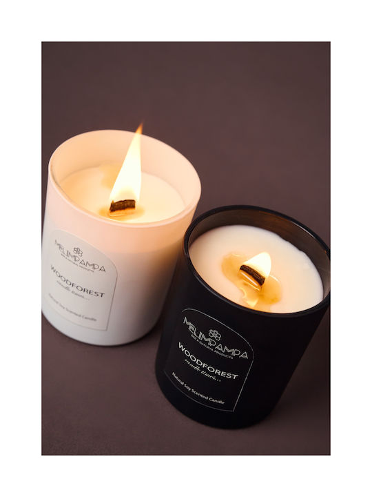 MeliMpampa Aromatic Soy Candle In Jar With Woodforest Scent 205gr