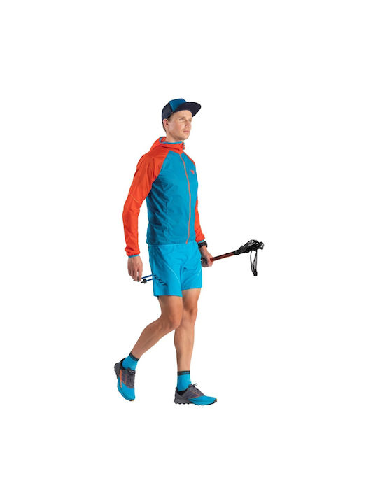 Alpine Sport Shoes Trail Running Multicolour