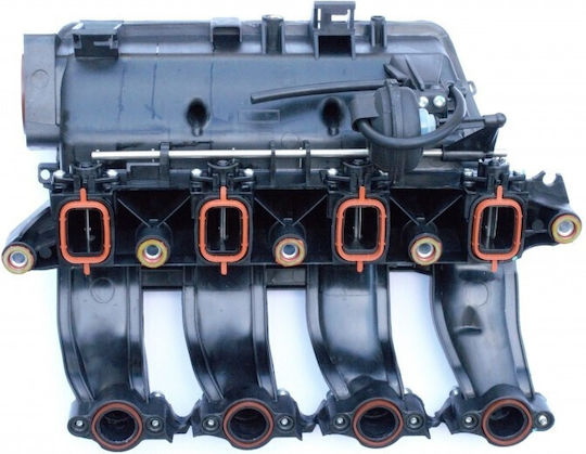 Sammler Für Bmw 11617800579