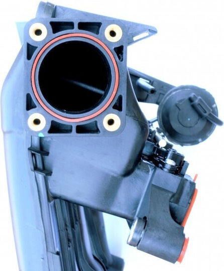 Sammler Für Bmw 11617800579