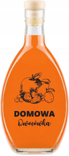 Μπουκάλι Elipsa 500ml Εκτύπωση Σπιτικο Λικερ Φρουτων
