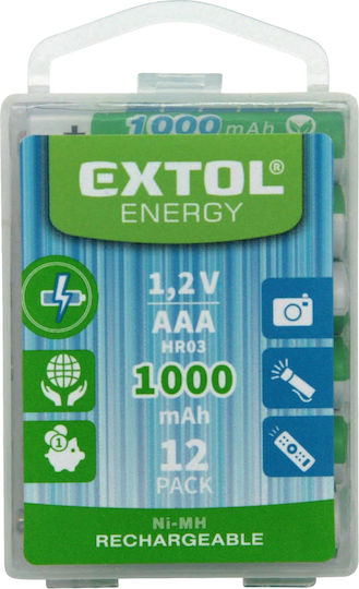 Baterii Reîncărcabile 12 Bucăți 1000mAh 1.2V Extol Energy 42062