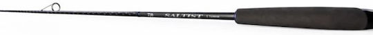 Daiwa 26 Saltist X Angelruten für Spinnfischen 2.74m 10-40gr