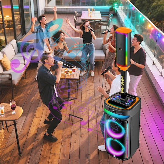 Karaoke Speaker with Wireless Microphones and Lighting Effects WGY-SZ8809 088095 Black