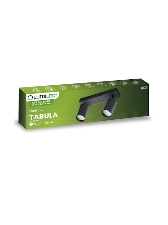 Ceiling Spot Light Tuba Spotlight Halogen Angled 2x GU10 Tabula Lumiled
