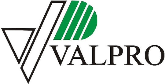 Canistră de combustibil din tablă de oțel Capacitate 10l Roșu Valpro