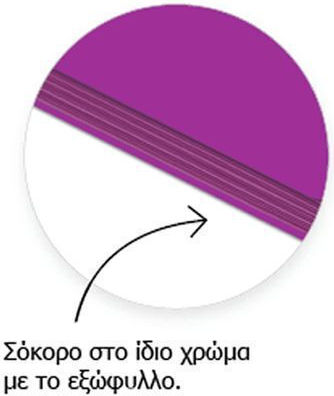 Metron Σπιράλ Τετράδιο Ριγέ 120 Φύλλων 2 Θεμάτων (Διάφορα Σχέδια)
