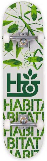 Habitat Complete Shortboard Green