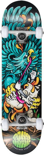 Tony Hawk 180 Complete Shortboard