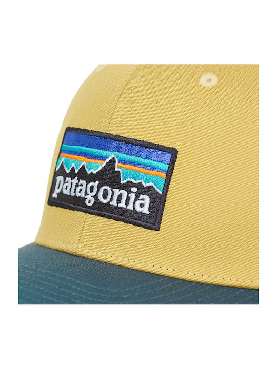 Patagonia P-6 Logo Trucker Kappen