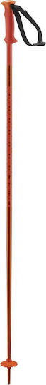 Salomon Poles Polar Cherry Tomato Cheeks