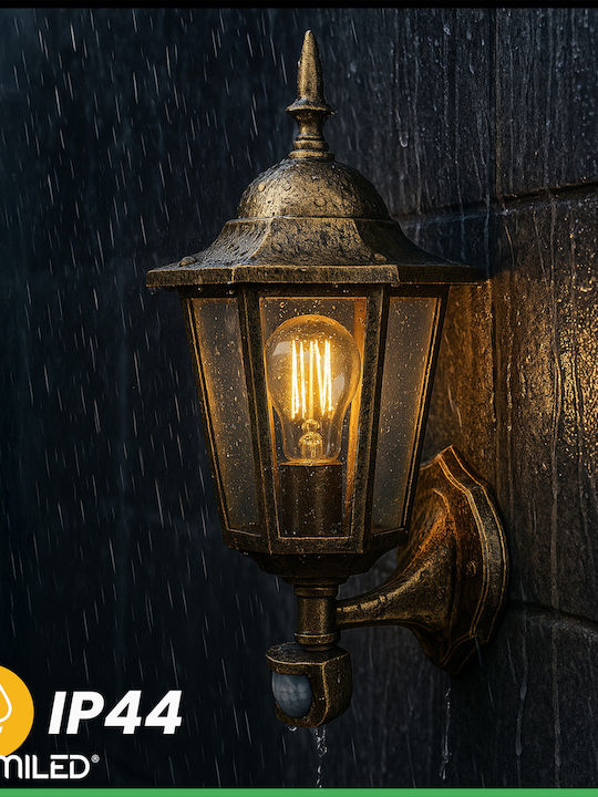 Bellis Lumiled Iluminat Exterior Montat Pe Perete Led E27 Cu Senzor De Mișcare