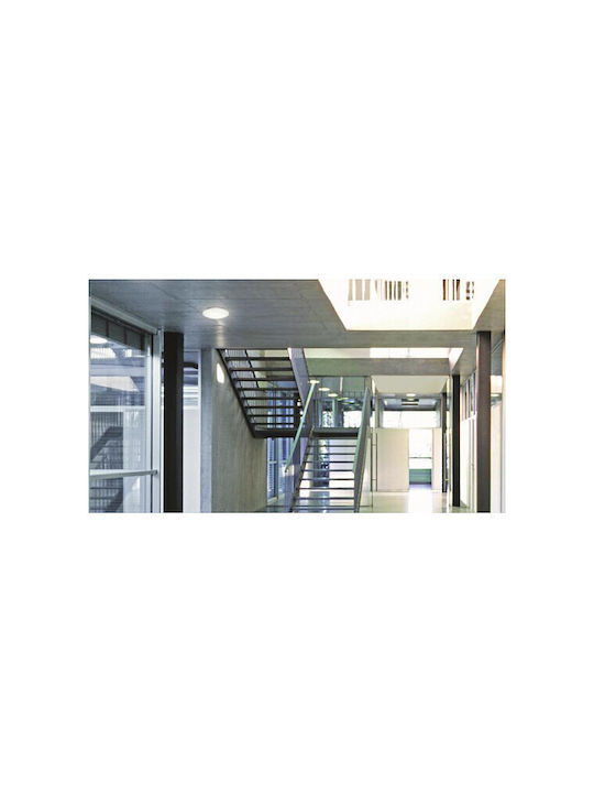 Steinel Plafonieră de Exterior cu LED Integrat în Culoare Alb 056032