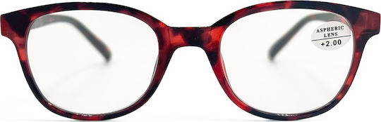 Optosquad Reading Glasses +2.25 In Red Colour 8950-3