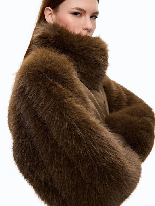 Damenjacken Für Winter Braune