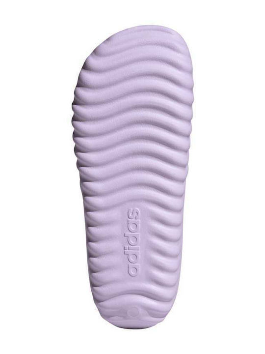 Adissage Ανδρικά Slides Μωβ