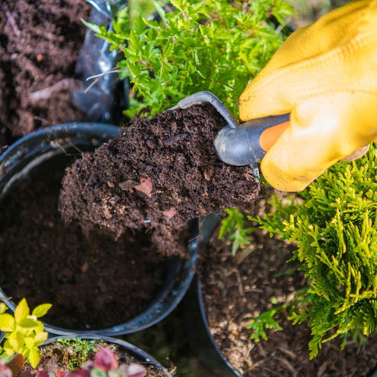 Bimberek Sour Torf 20l Saure Substrate Säureliebende Pflanzen Koniferen Thuja Blaubeeren