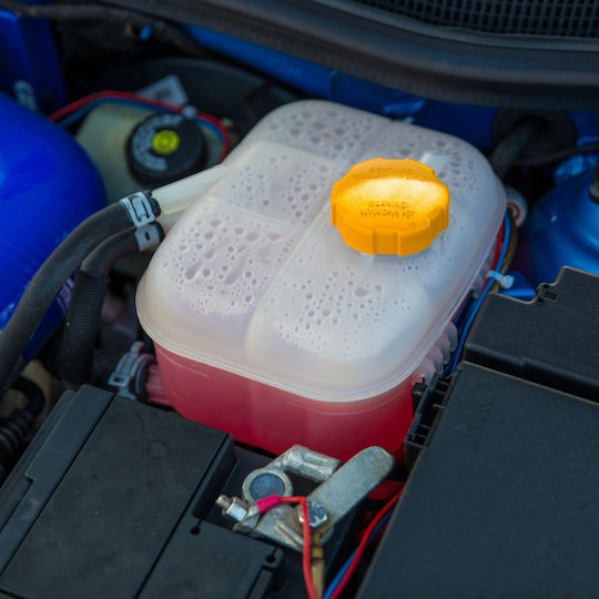 014065 Ma Professional Kühlmittel Für Autos Konzentrat Rot G12 5l