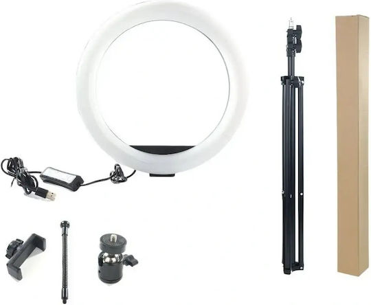 Ringlicht Stativ RGB LED 30cm Handyhalterung USB